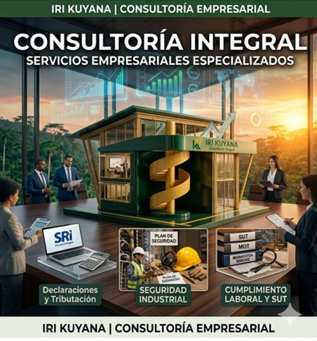 iri consultoria2